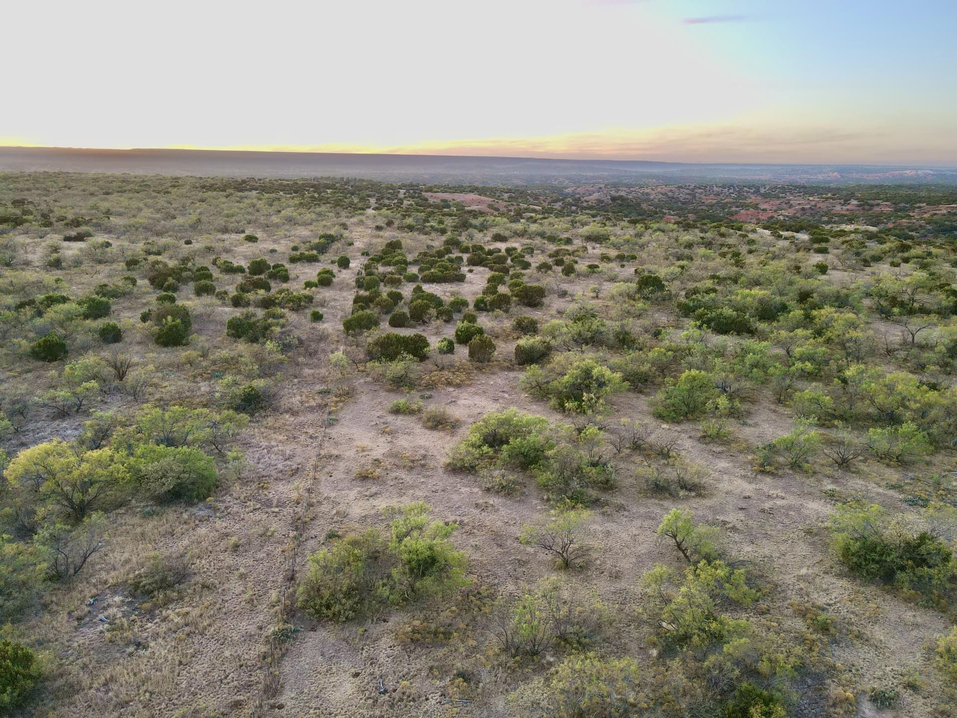 982 acres in Donley County gallery image 4