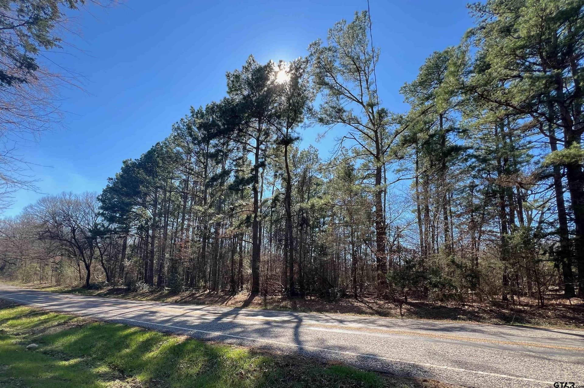 8 acres in Camp County