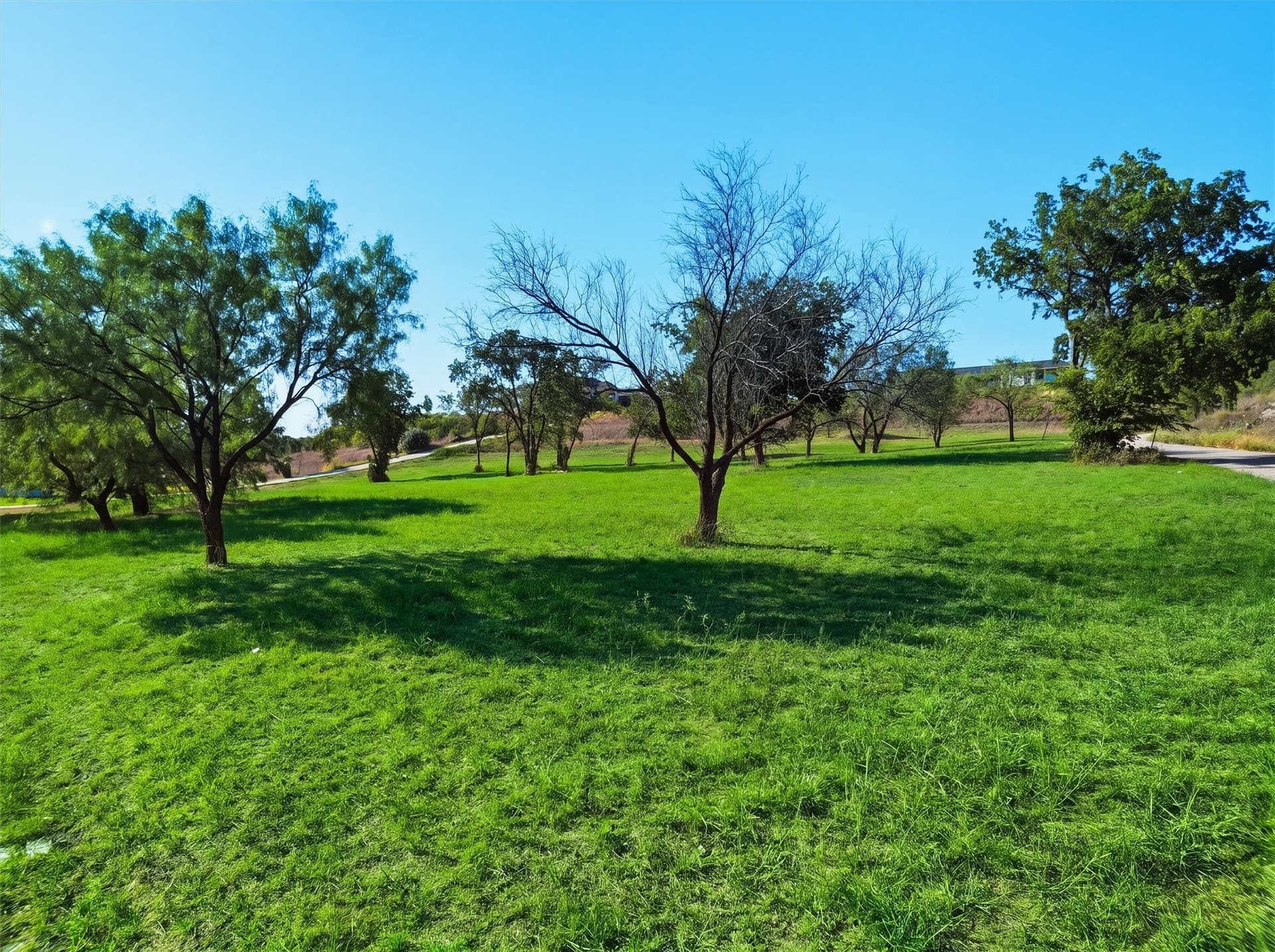2 acres in Parker County - photo 14