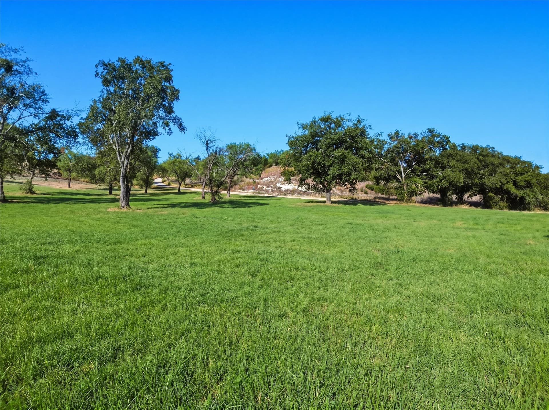2 acres in Parker County - photo 16