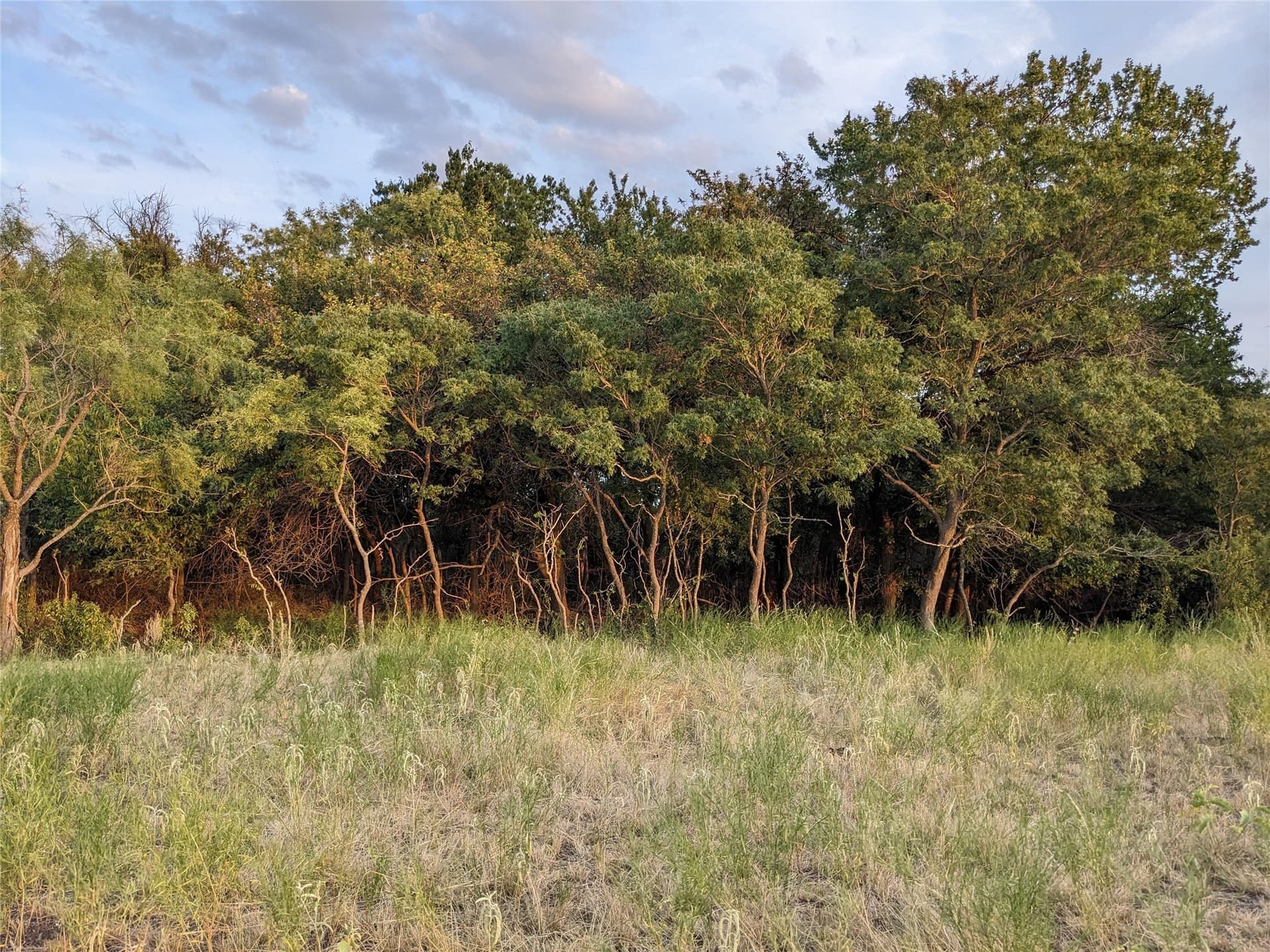 120 acres in Taylor County - photo 18