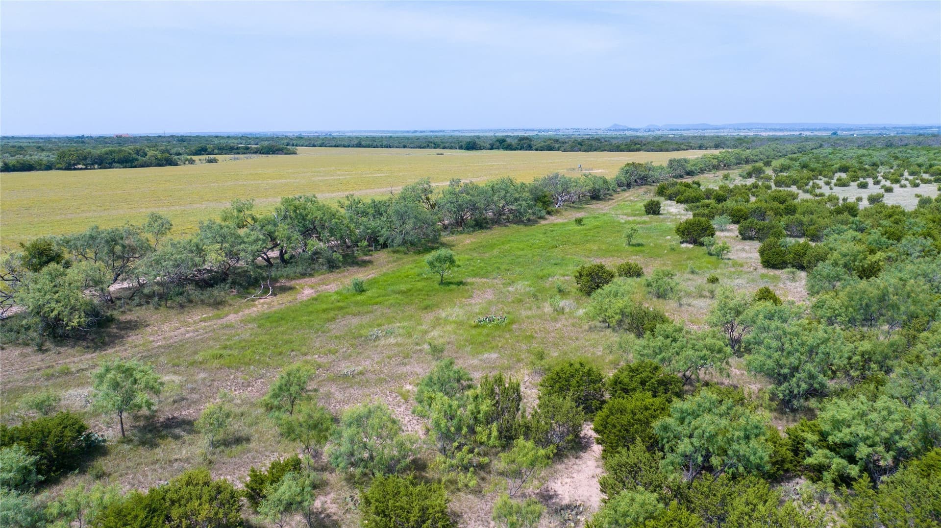 120 acres in Taylor County gallery image 2
