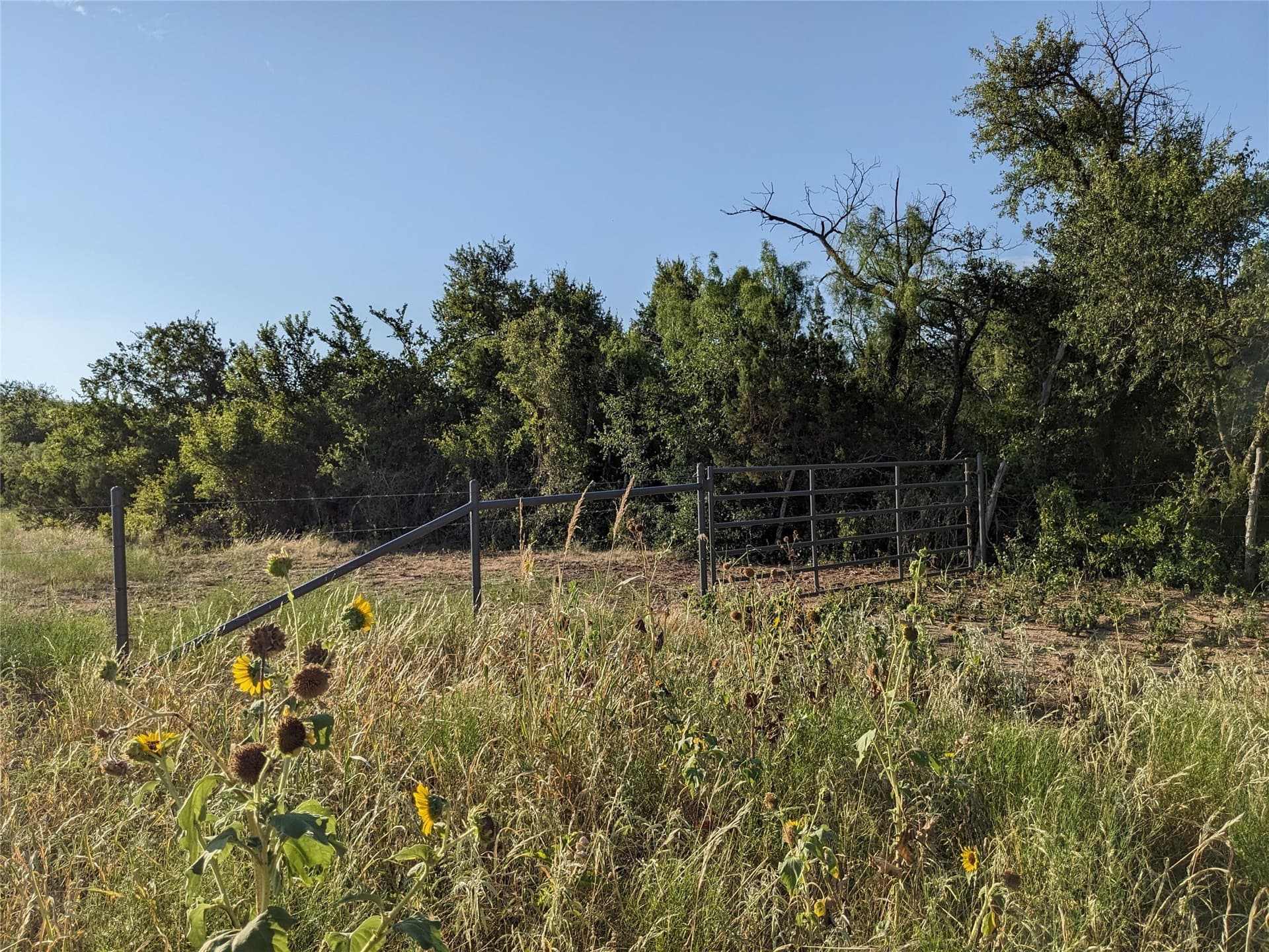 120 acres in Taylor County - photo 24