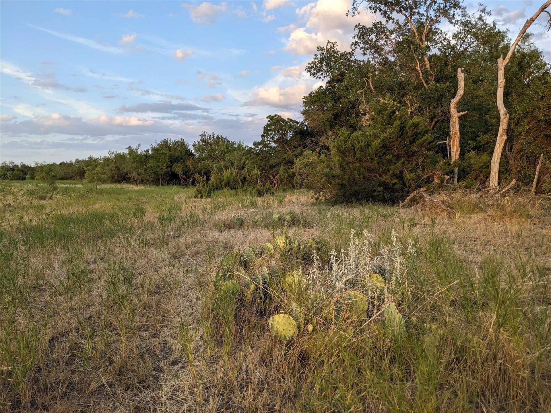 120 acres in Taylor County - photo 17