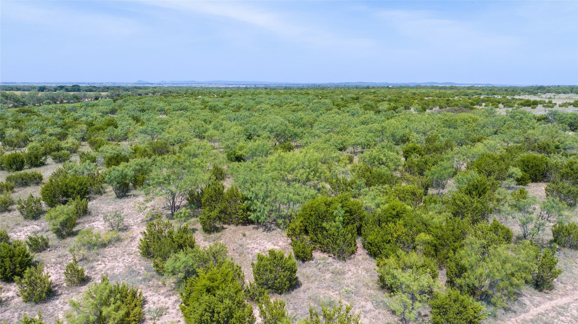 120 acres in Taylor County - photo 30
