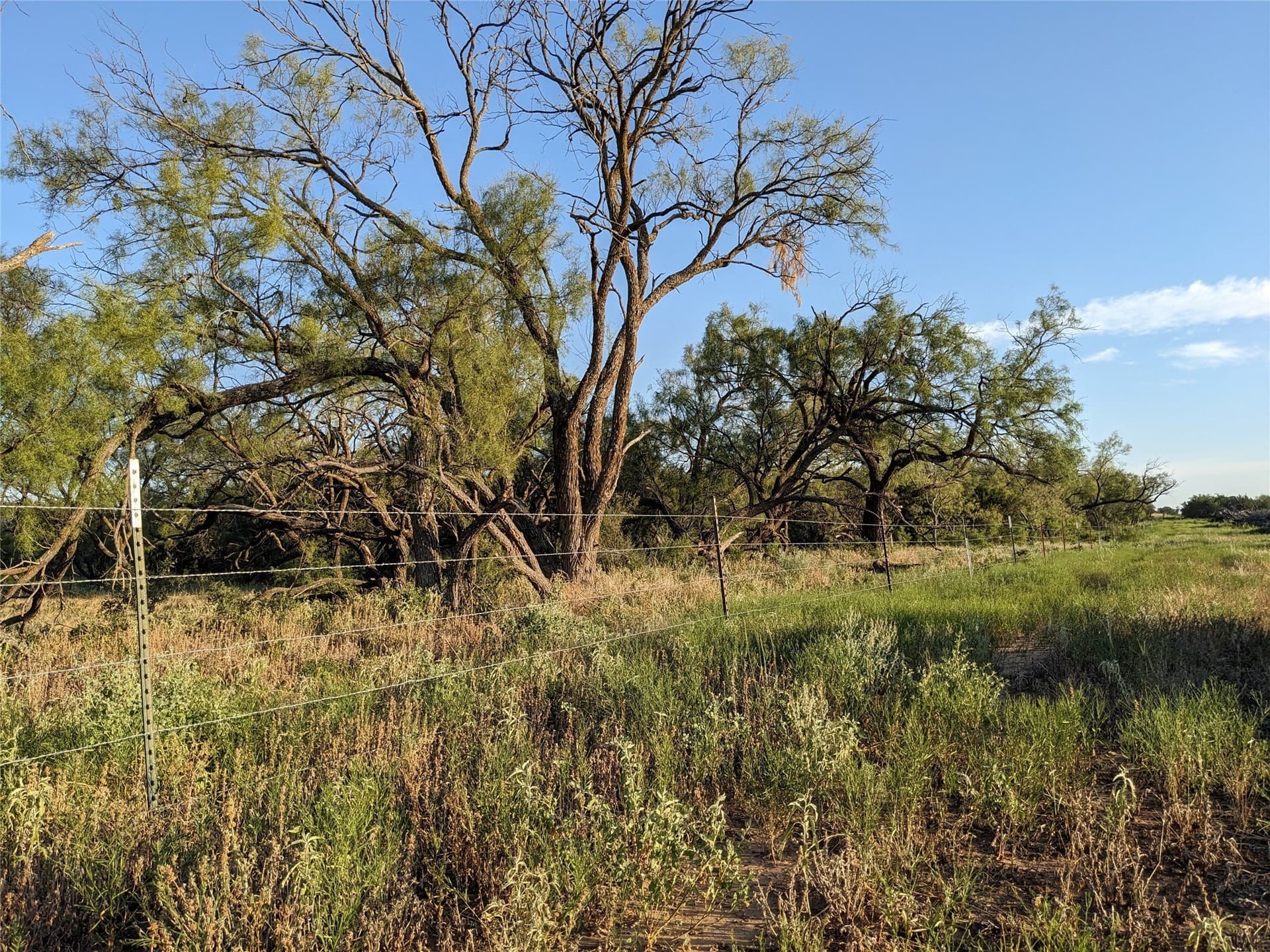 120 acres in Taylor County - photo 22