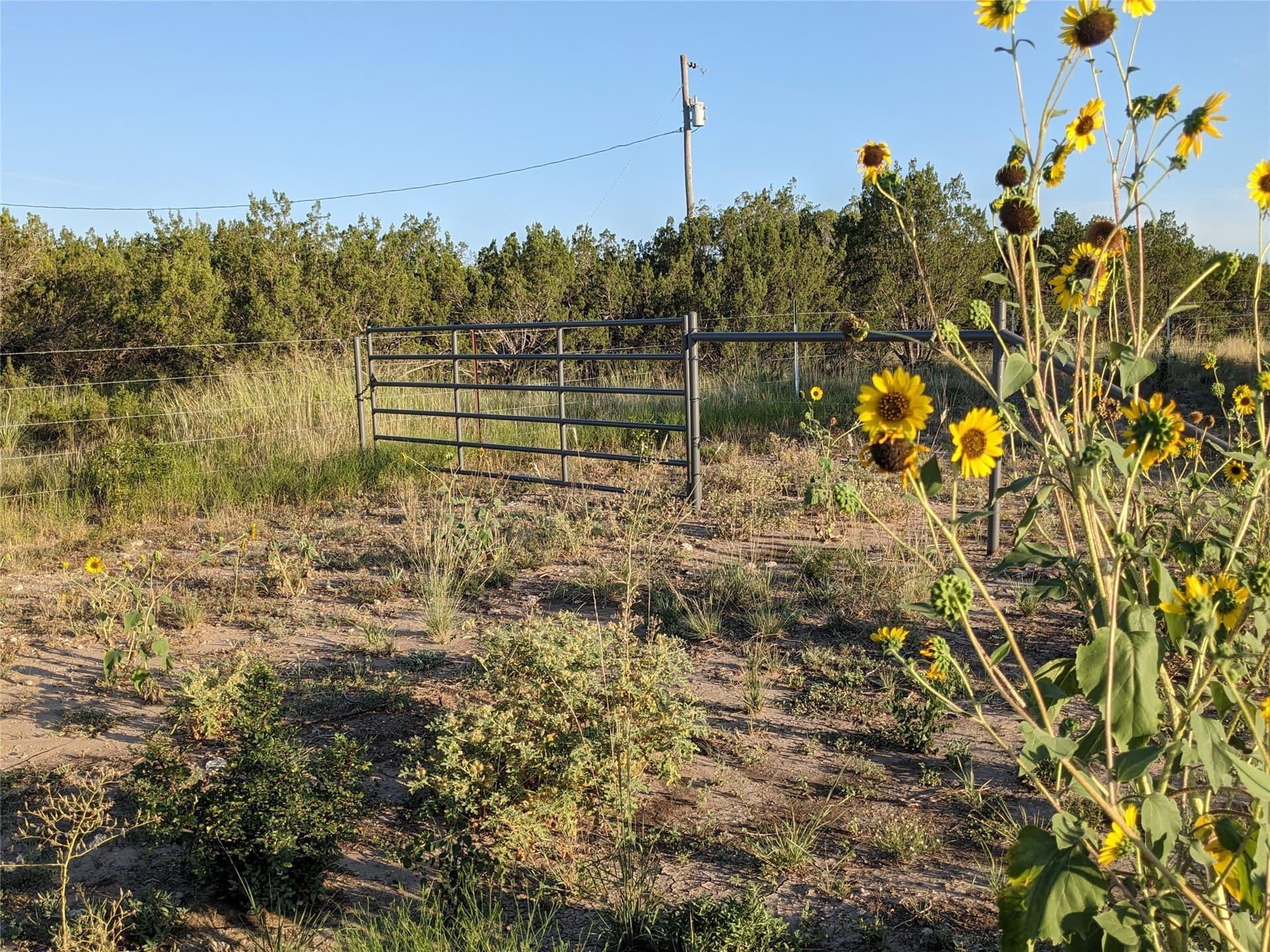 120 acres in Taylor County - photo 23