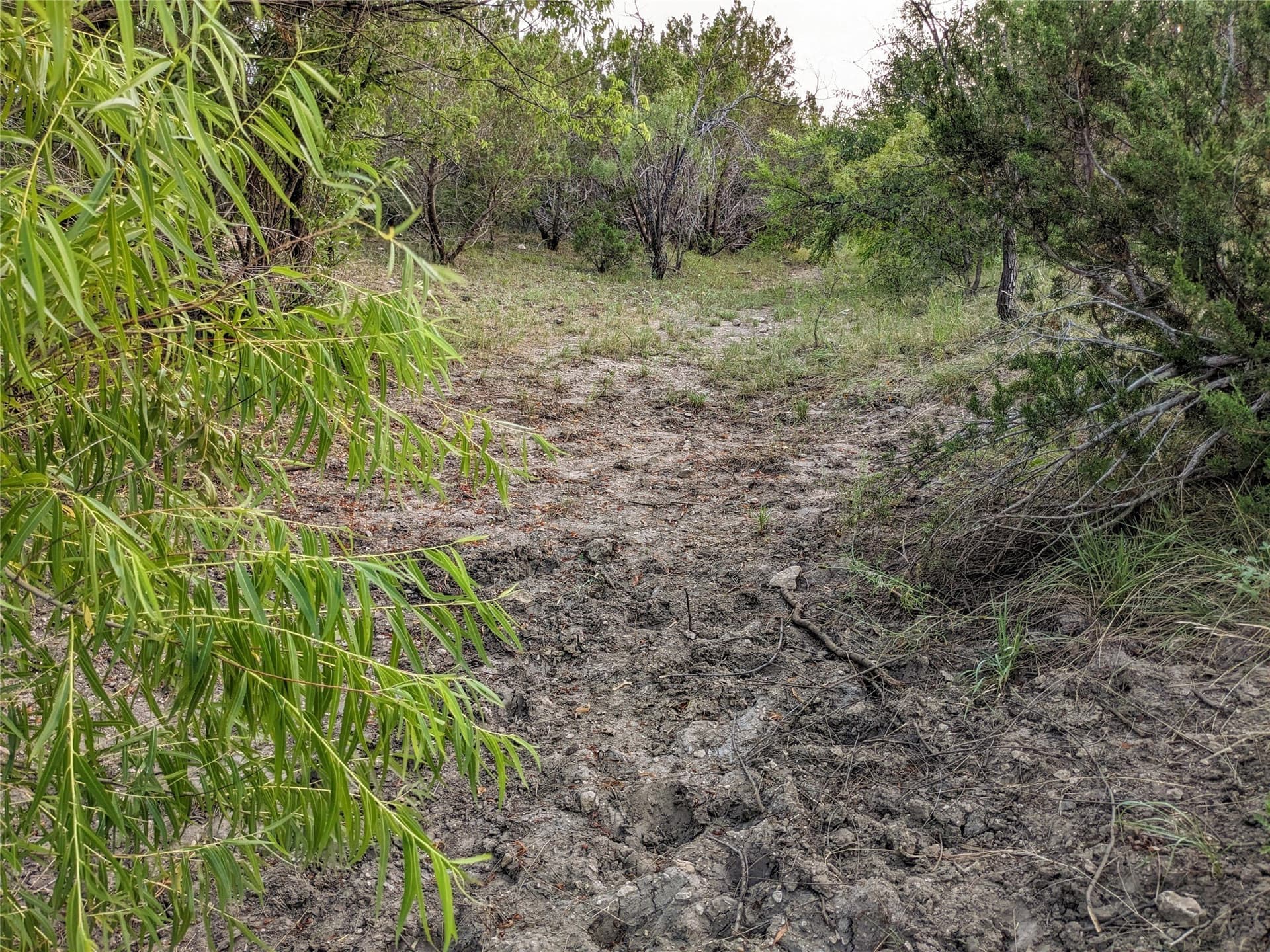 120 acres in Taylor County - photo 20