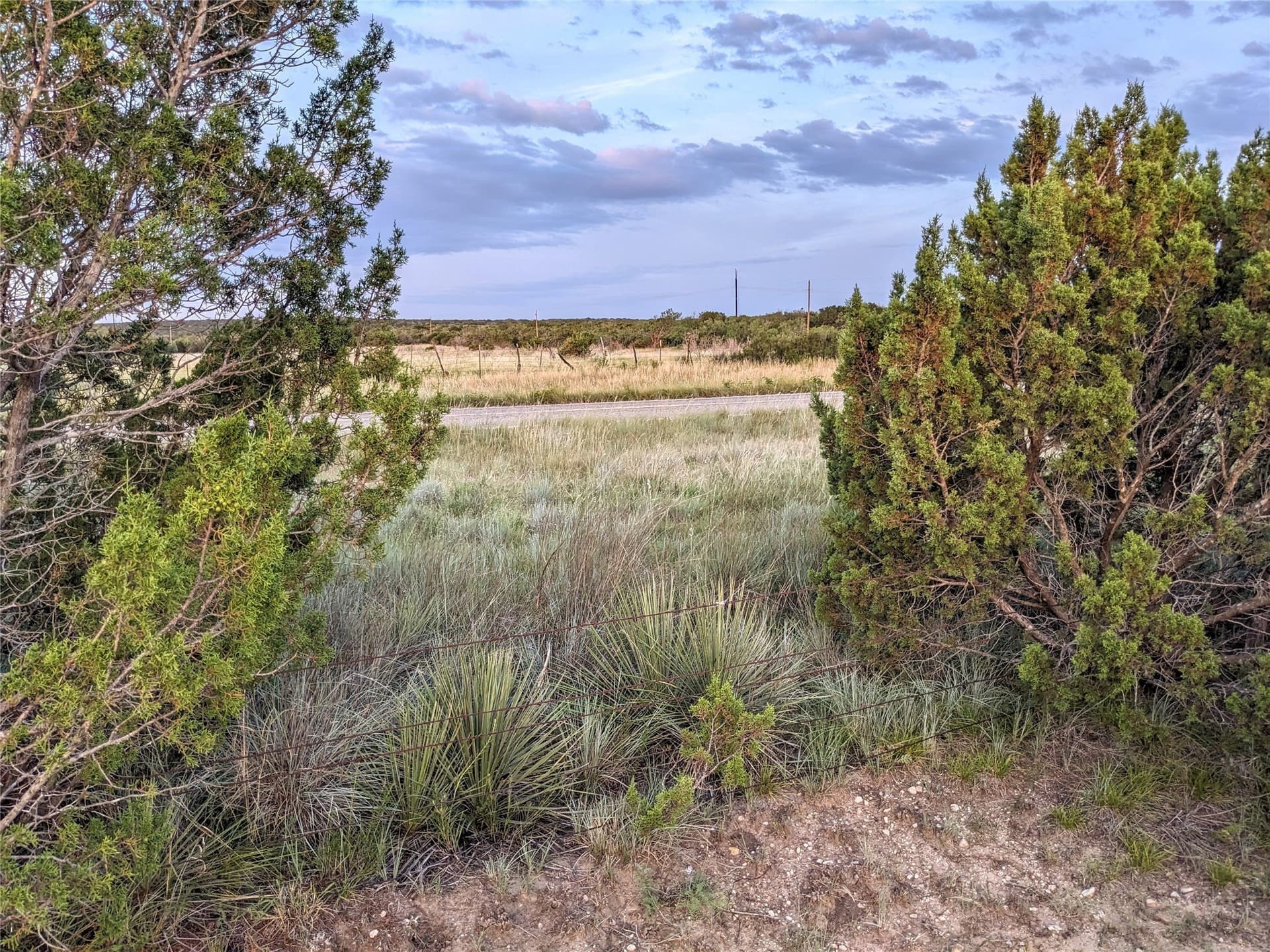 120 acres in Taylor County - photo 19