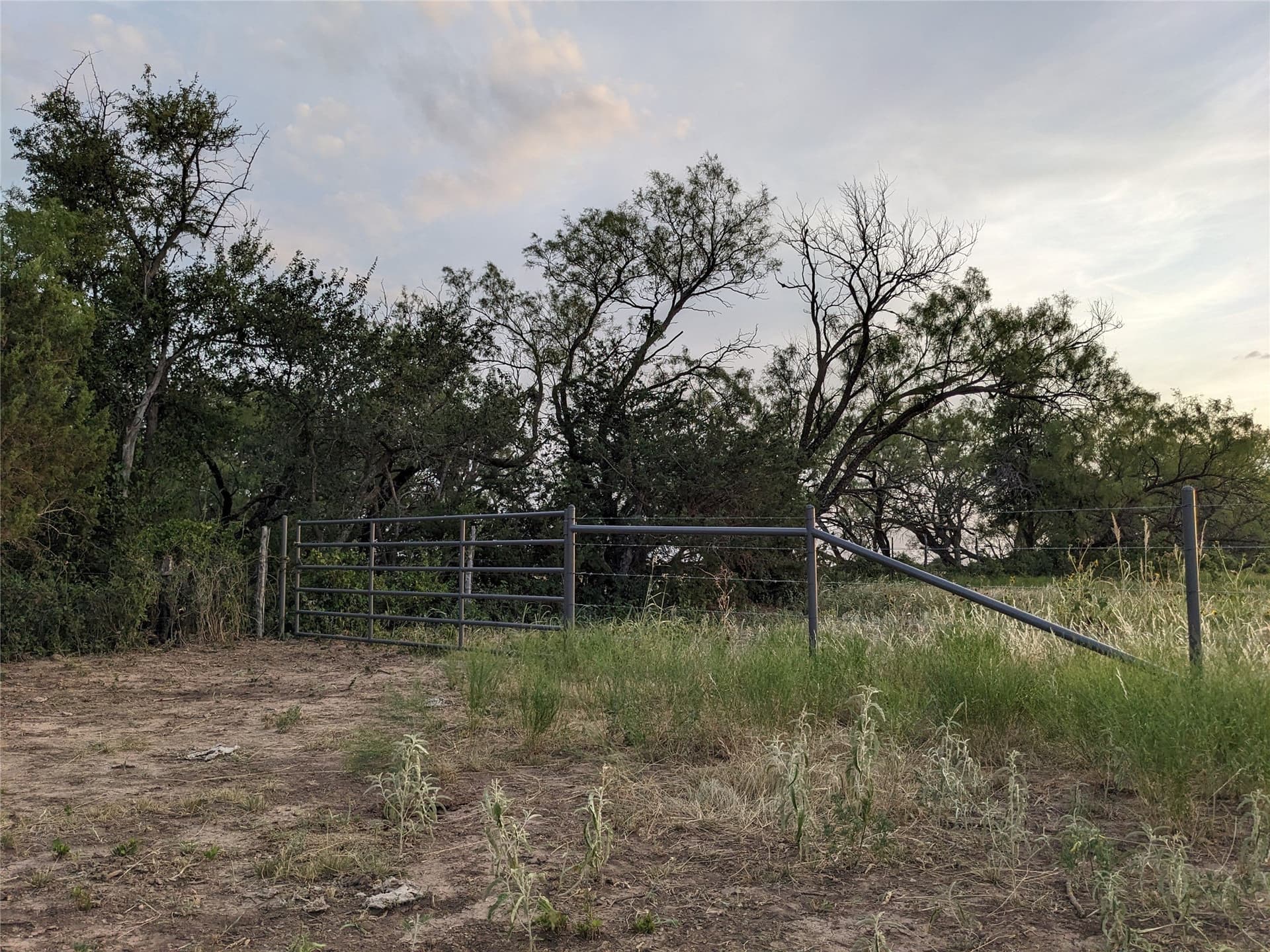 120 acres in Taylor County - photo 16