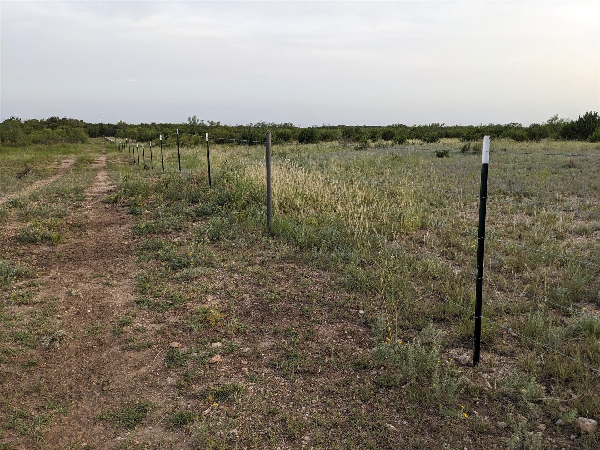 120 acres in Taylor County - photo 15