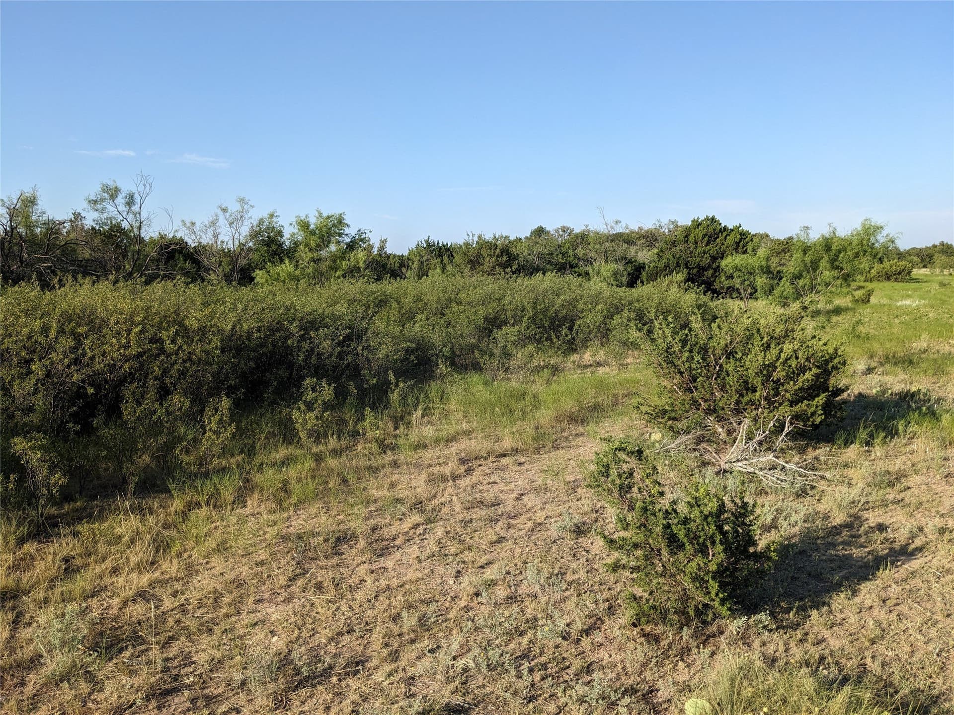 120 acres in Taylor County - photo 26