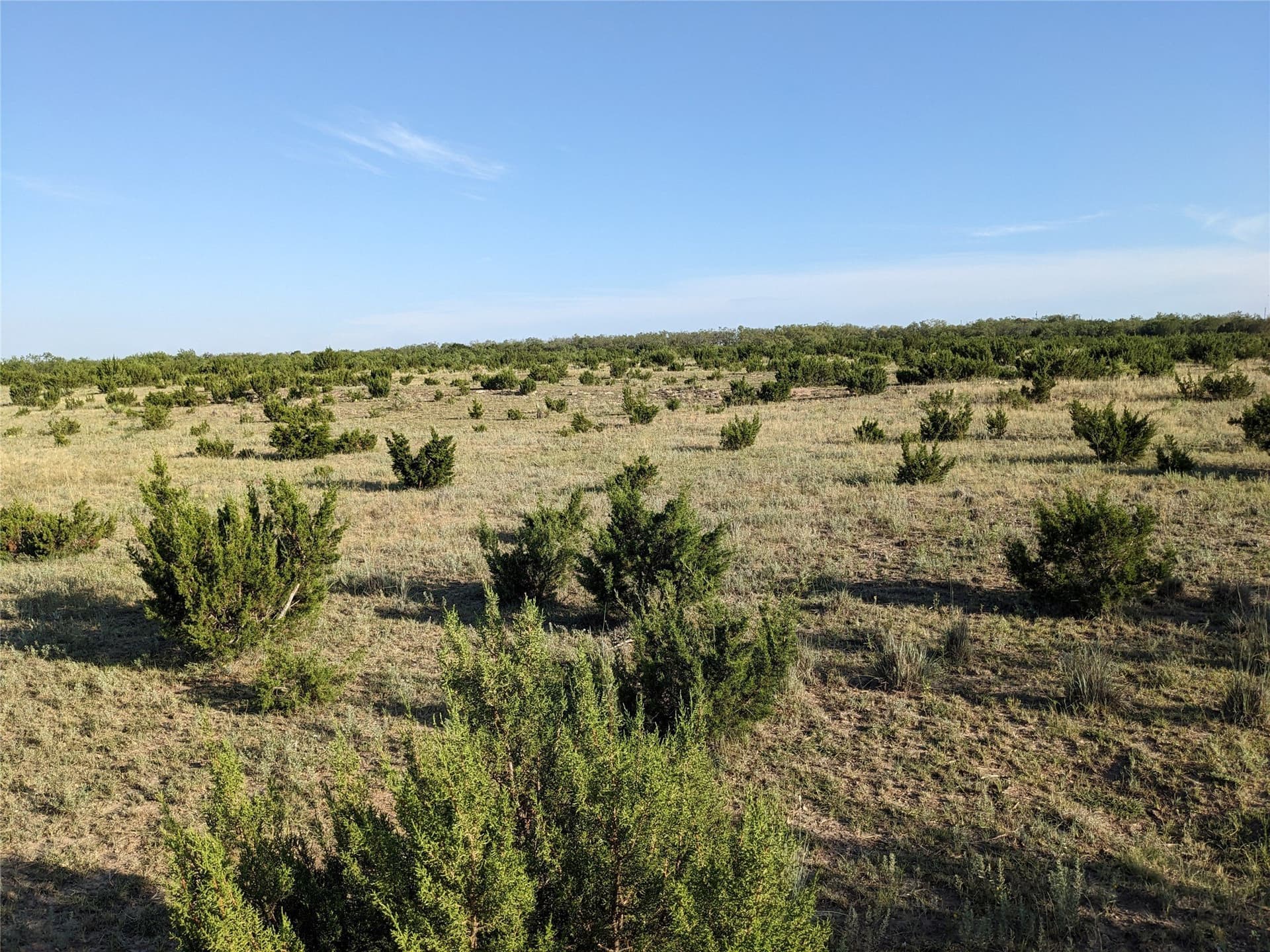 120 acres in Taylor County - photo 25
