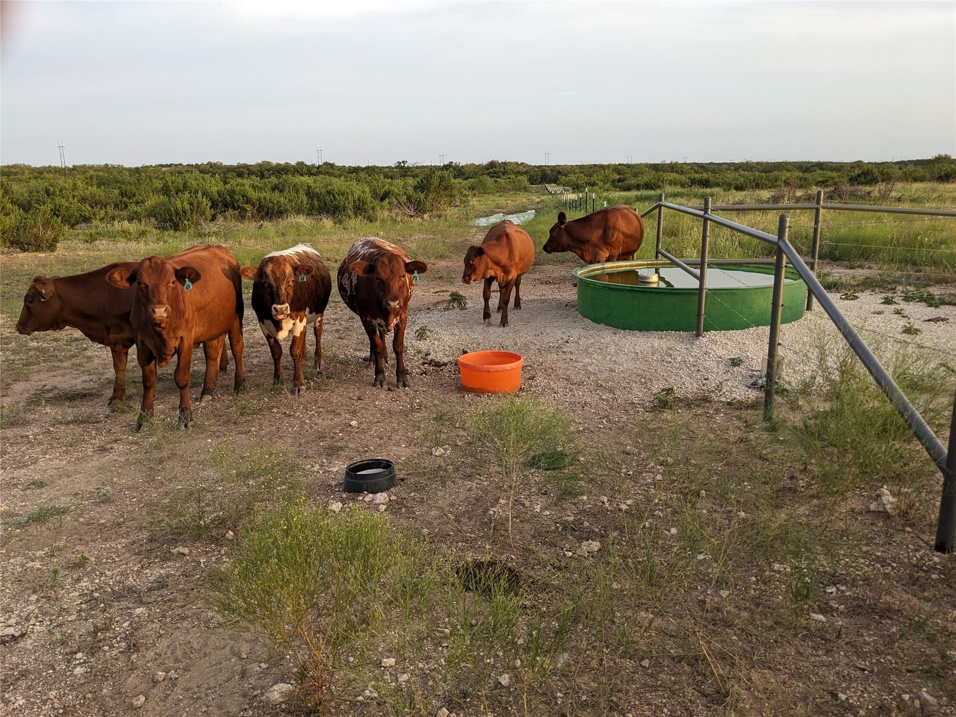 120 acres in Taylor County - photo 12
