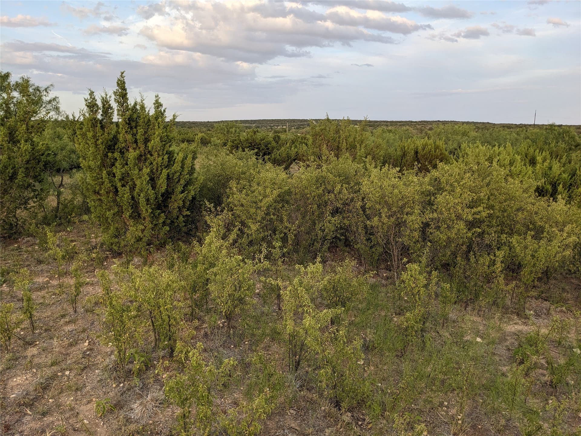120 acres in Taylor County - photo 14