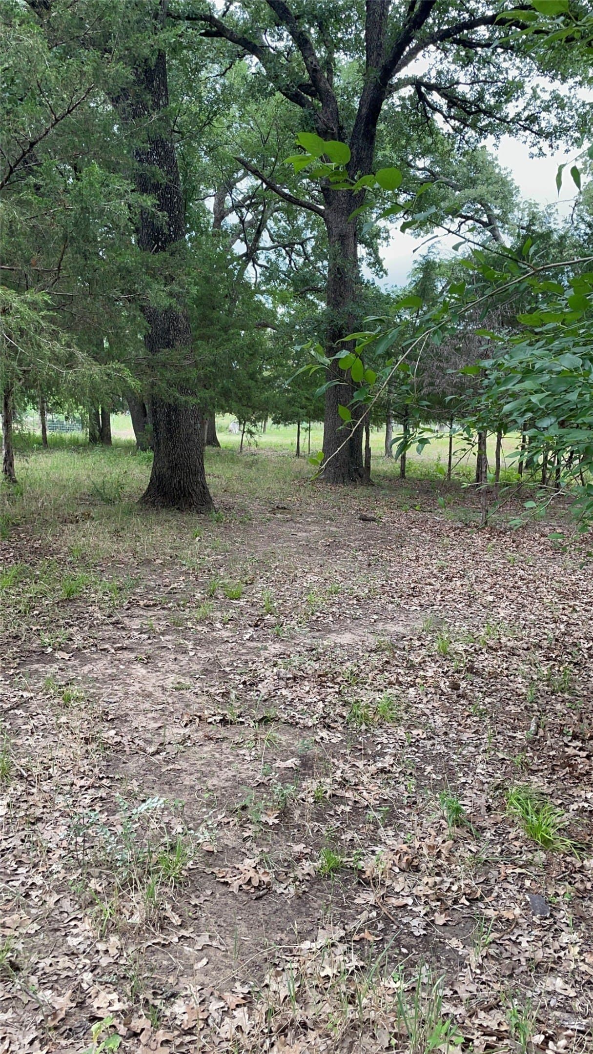 2.07 acres in Hunt County - photo 3
