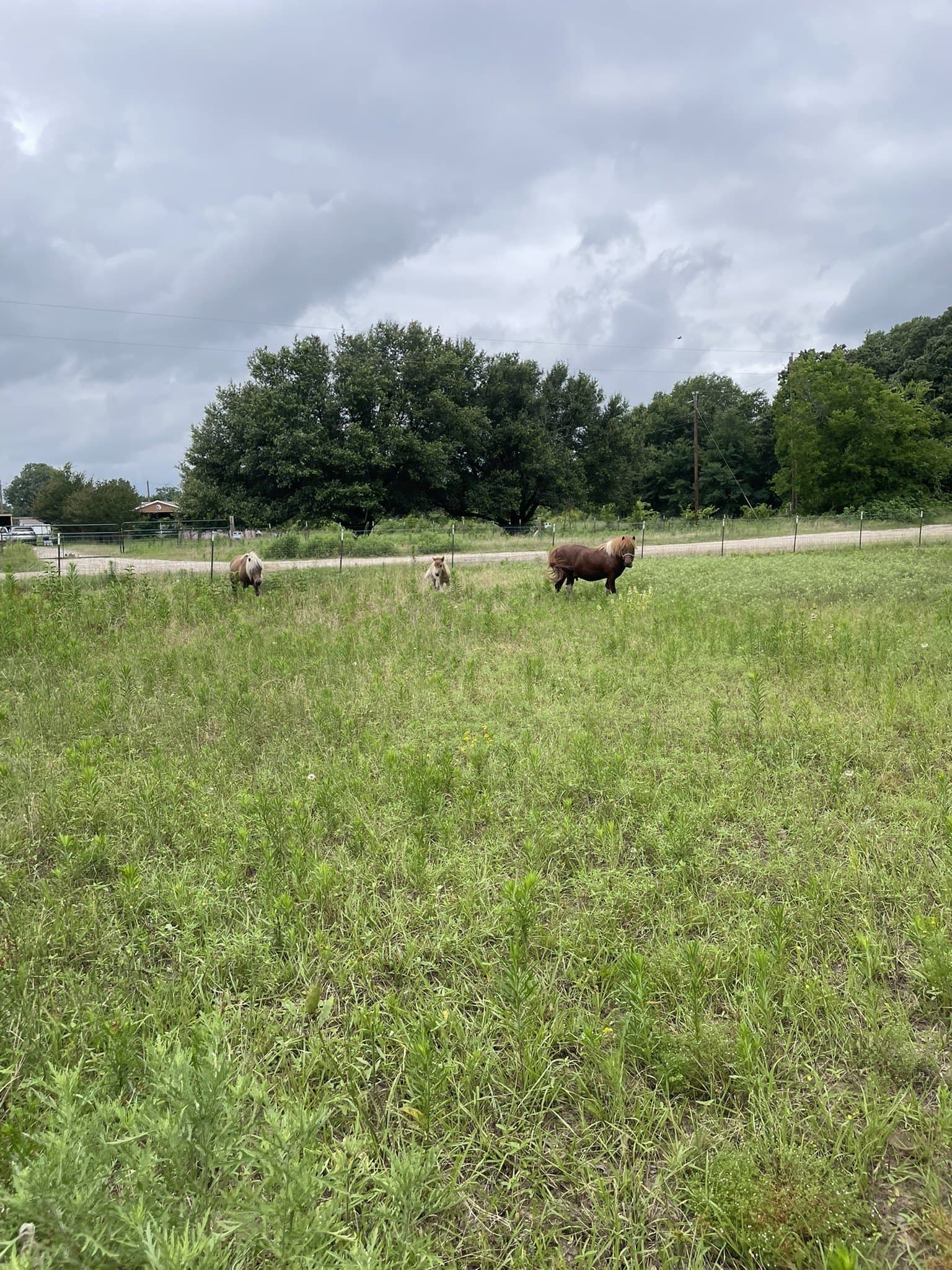 2.07 acres in Hunt County - photo 2
