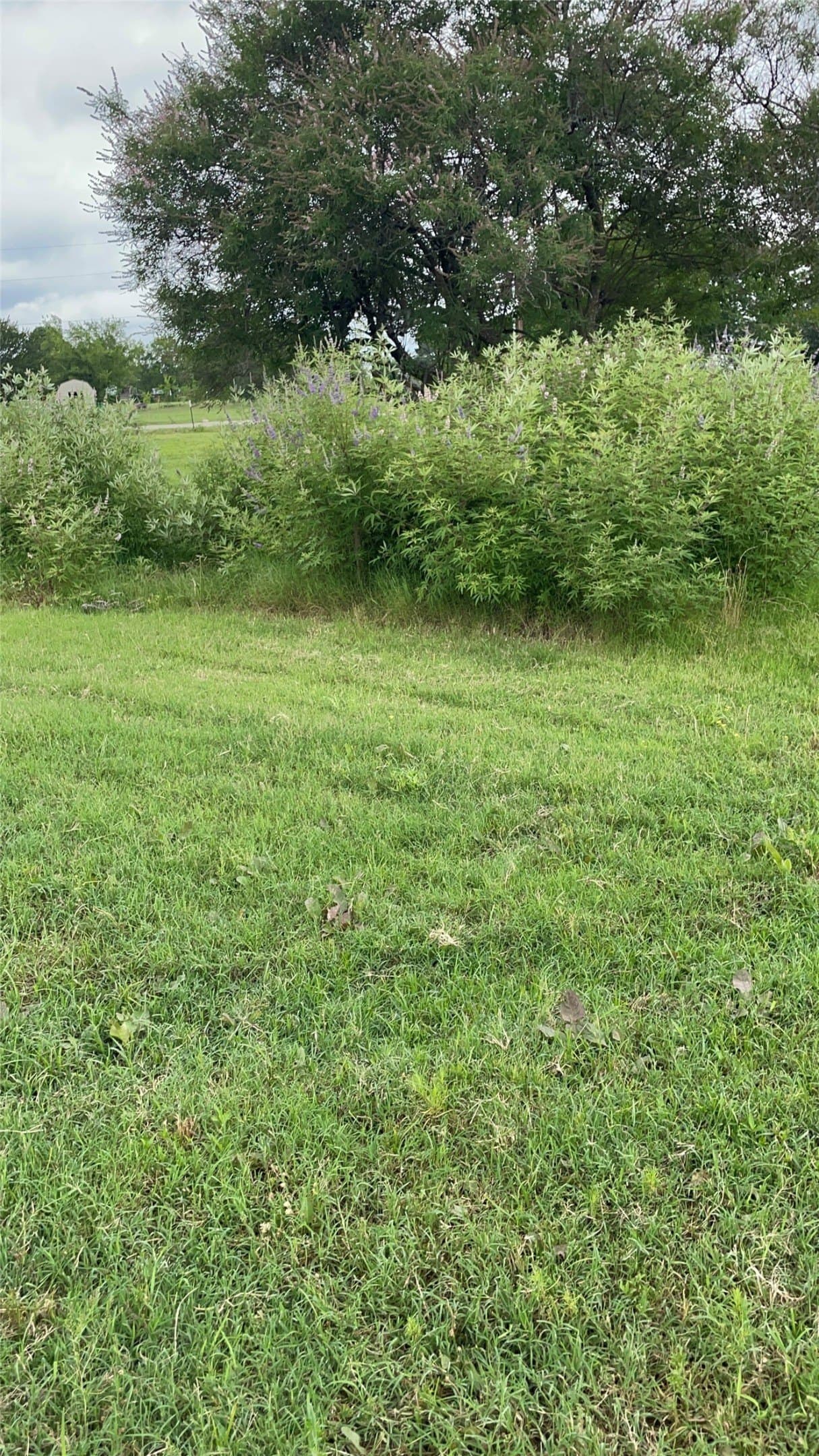 2.07 acres in Hunt County - photo 8
