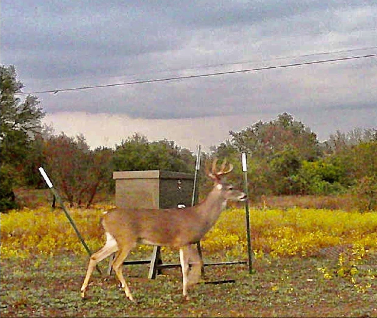 127.59 acres in Erath County gallery image 2