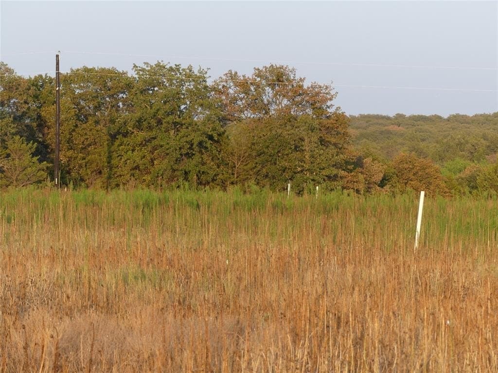 2.01 acres in Montague County gallery image 4