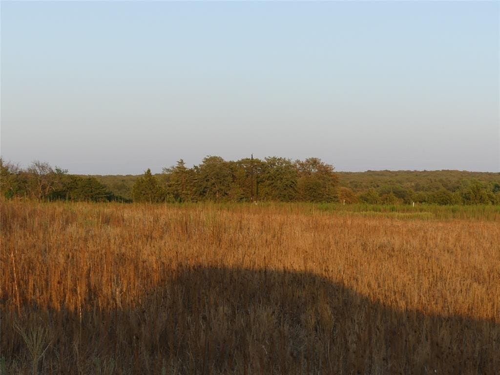 2.01 acres in Montague County gallery image 2