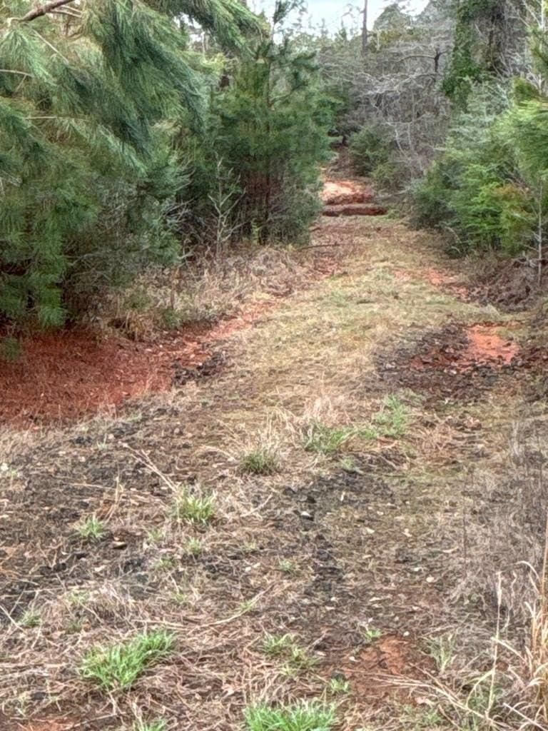 15 acres in Texas County - photo 2