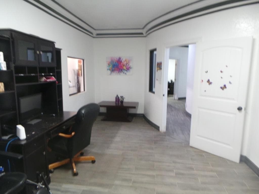 28.88 acres in Ector County gallery image 3