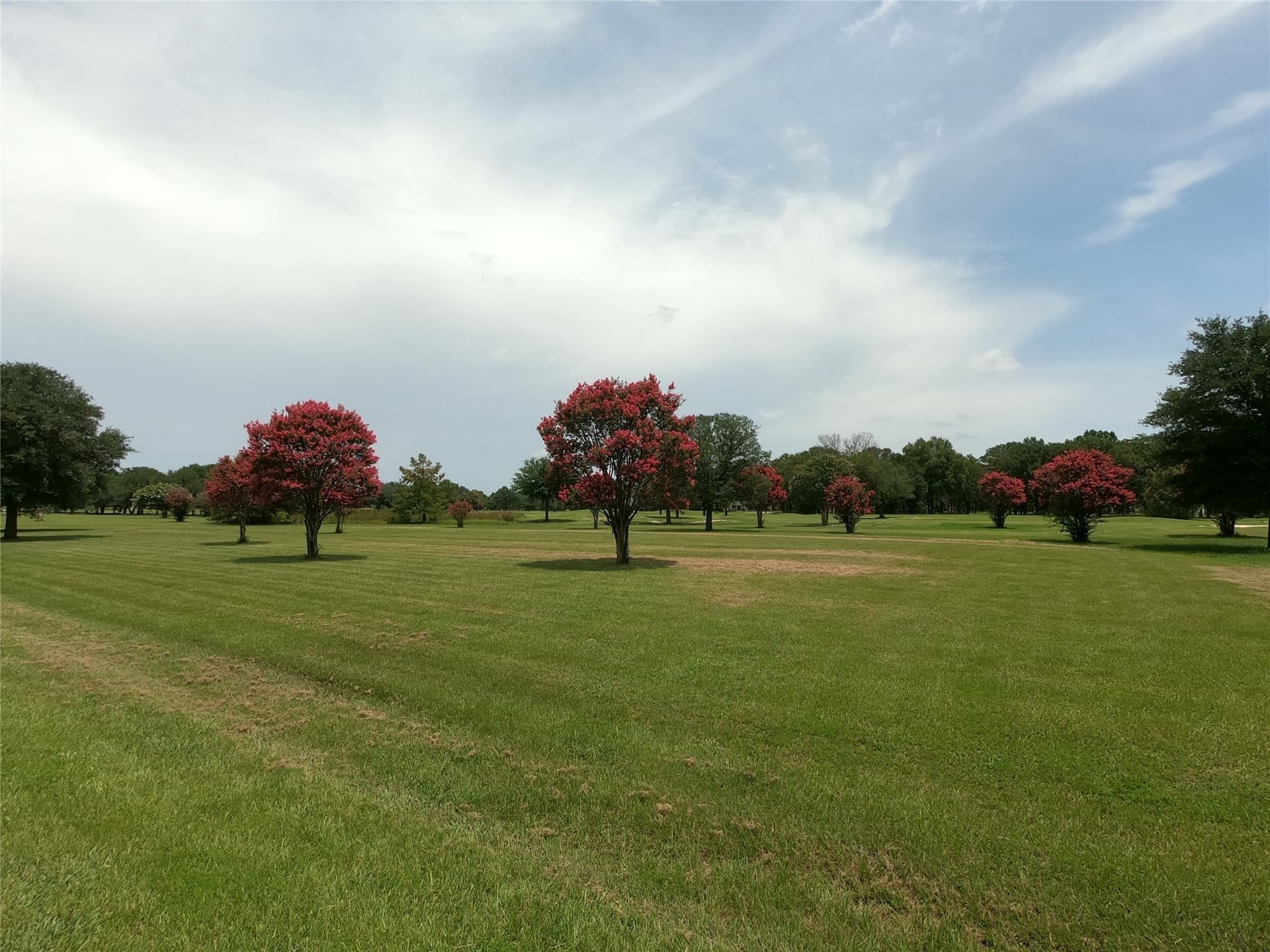 0.8 acres in Wood County - photo 10