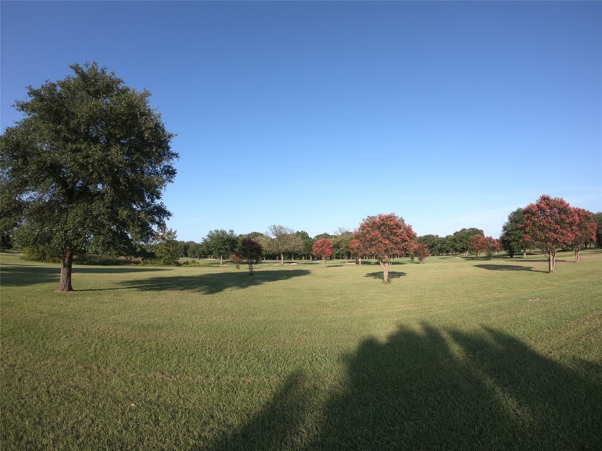 0.8 acres in Wood County - photo 8