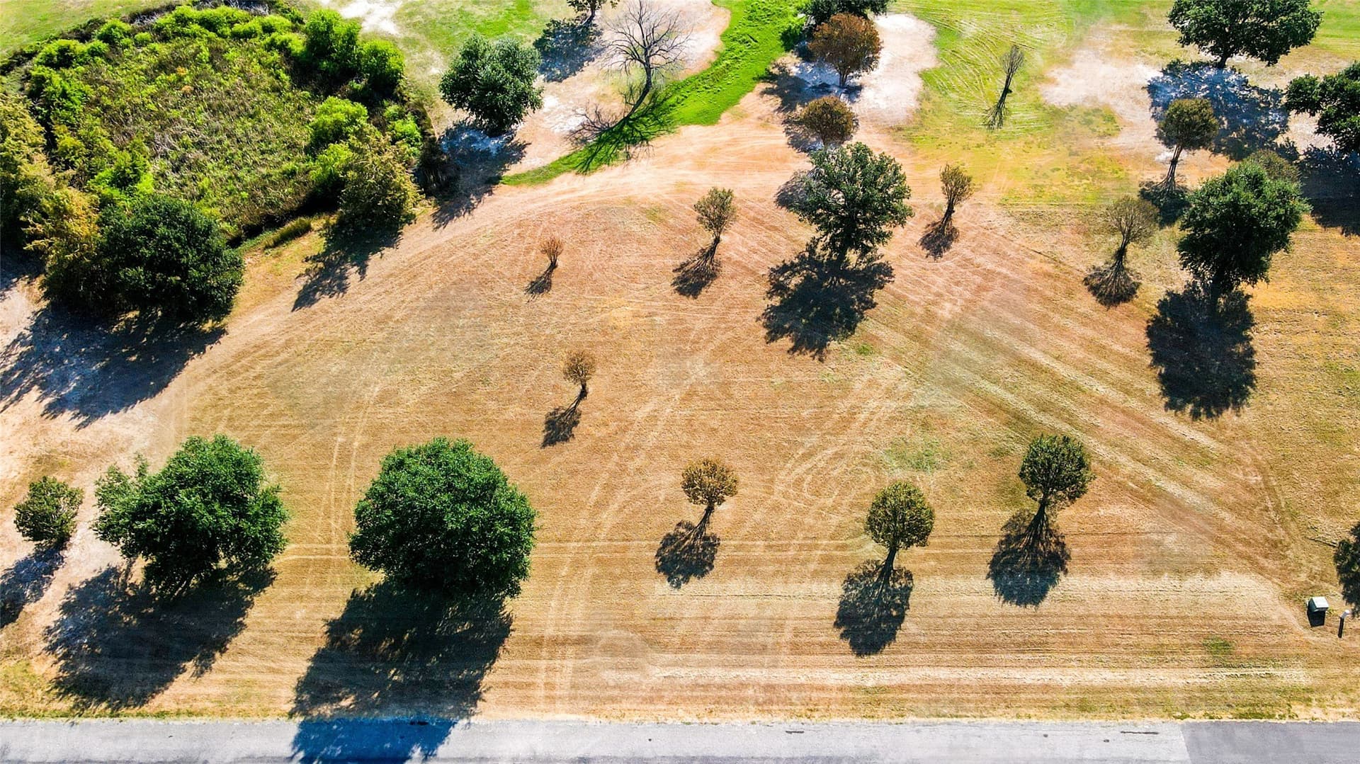 0.8 acres in Wood County - photo 21