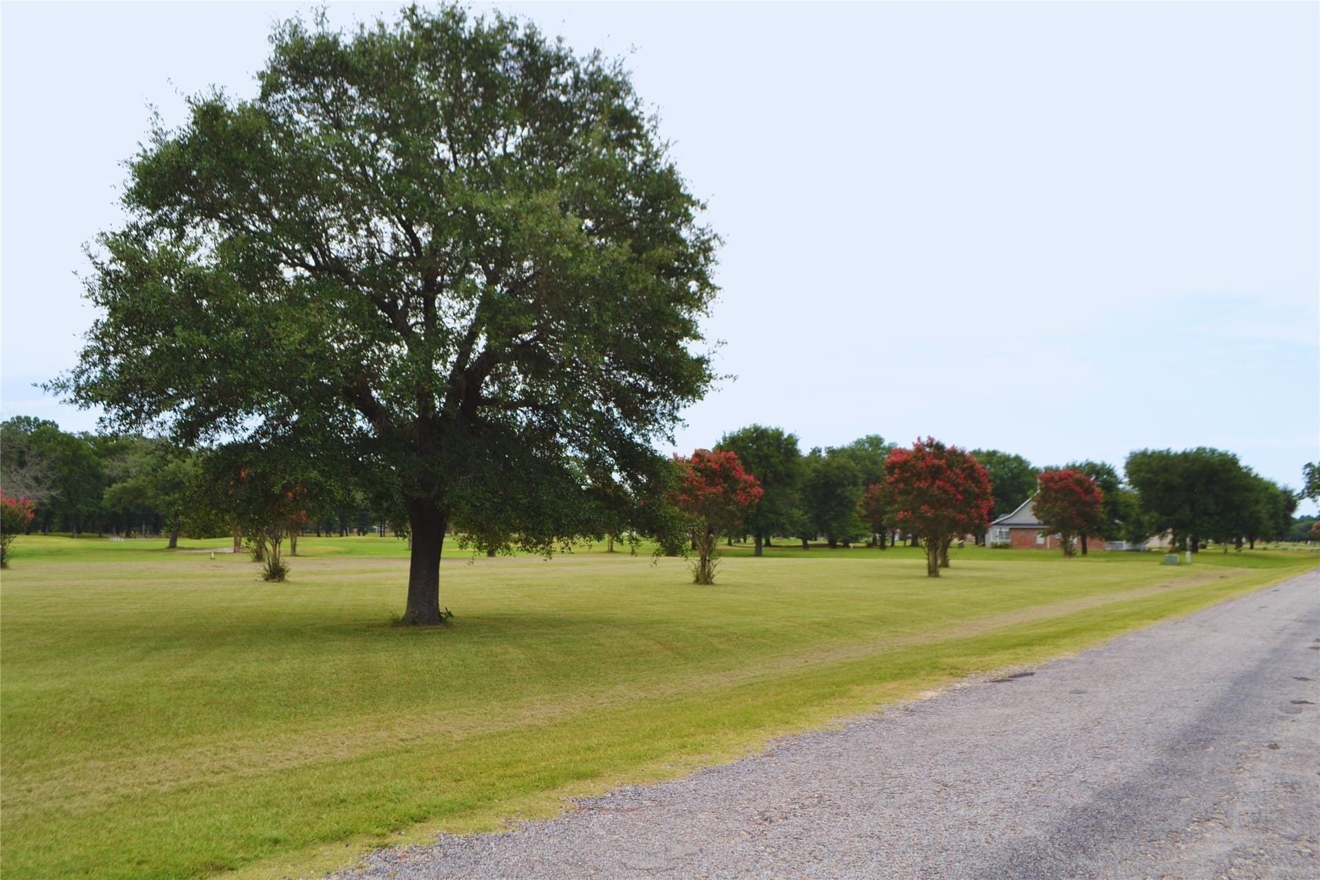 0.8 acres in Wood County - photo 12