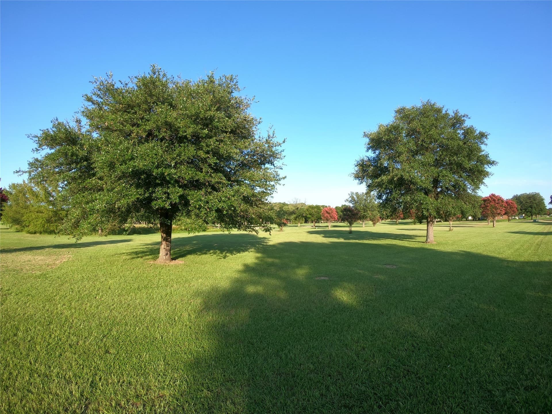 0.8 acres in Wood County - photo 7