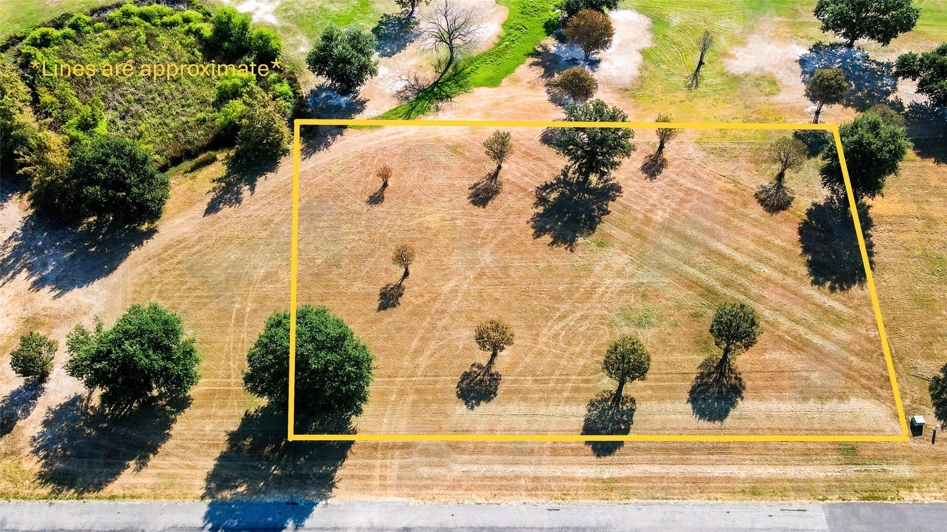 0.8 acres in Wood County - photo 4