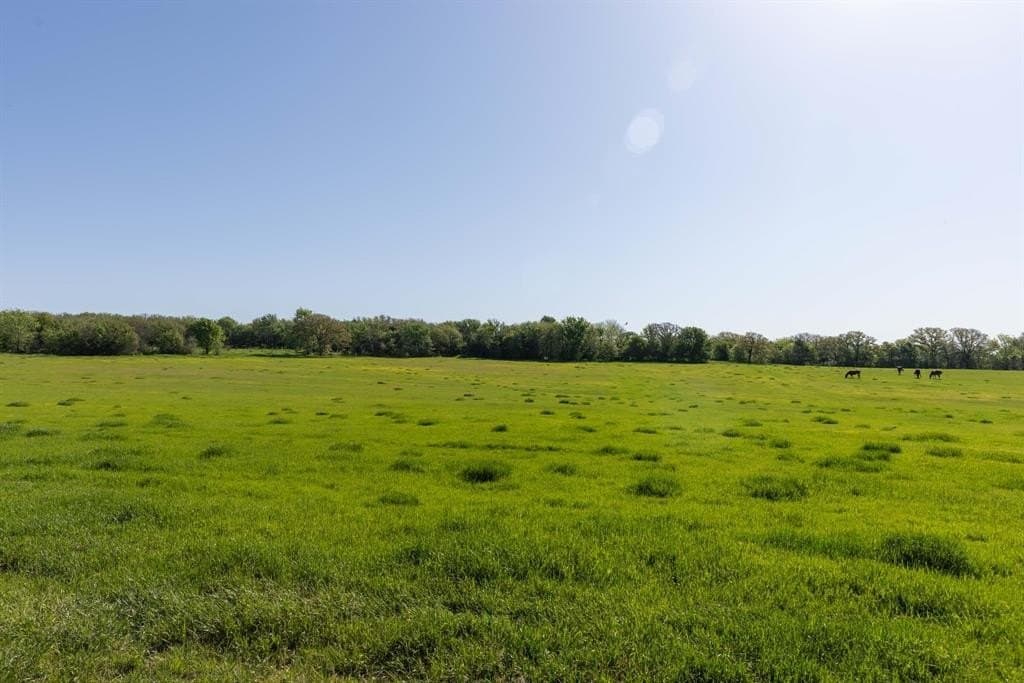 20.3 acres in Cooke County gallery image 3