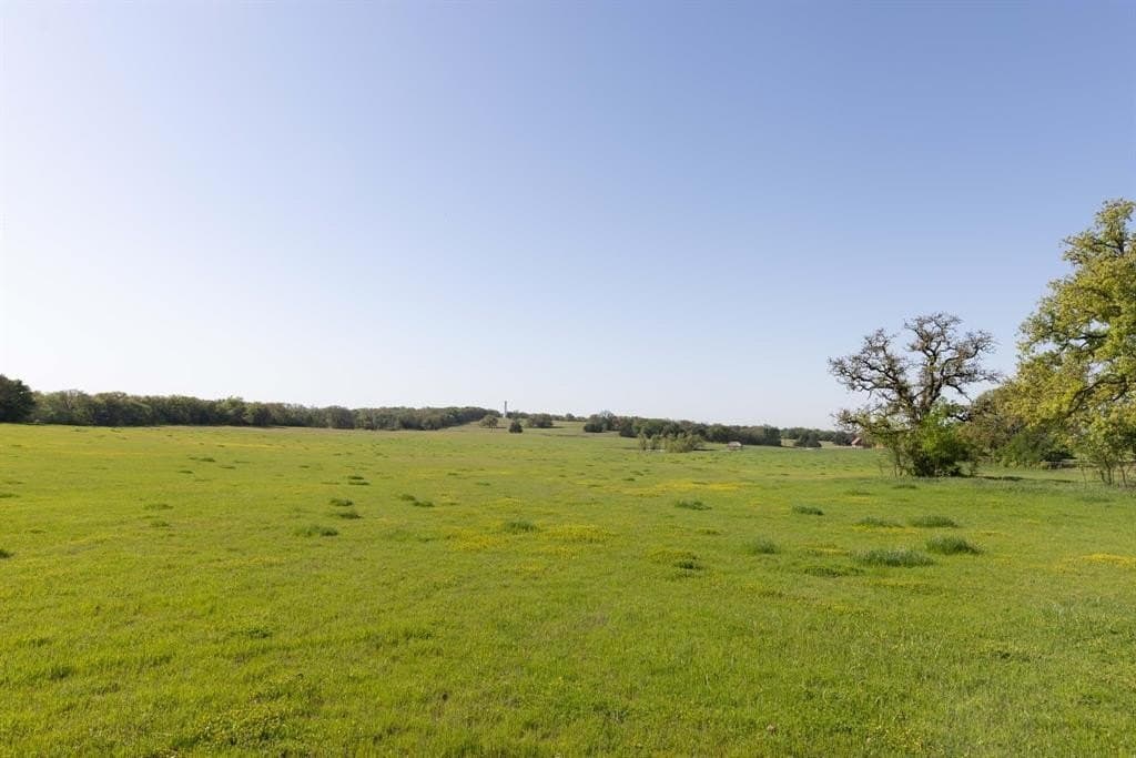 20.3 acres in Cooke County gallery image 2