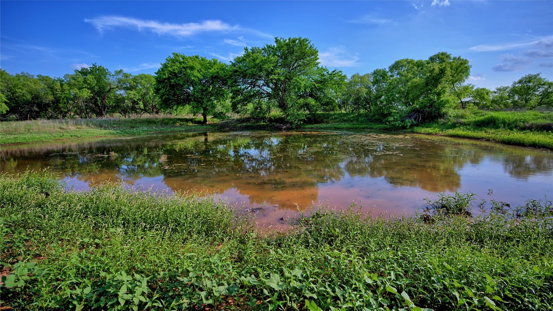66.6 acres in Montague County - photo 16