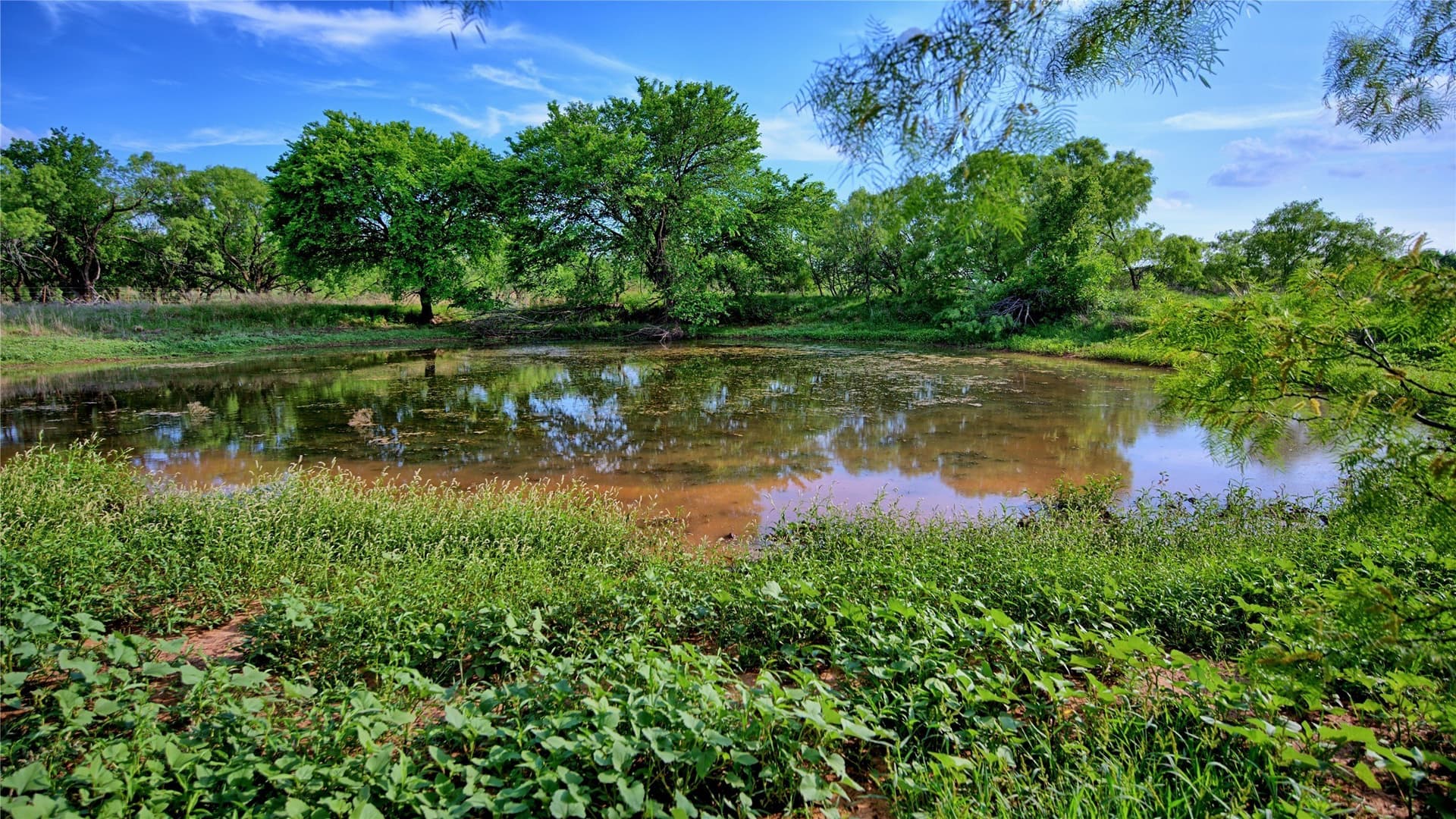 66.6 acres in Montague County - photo 24