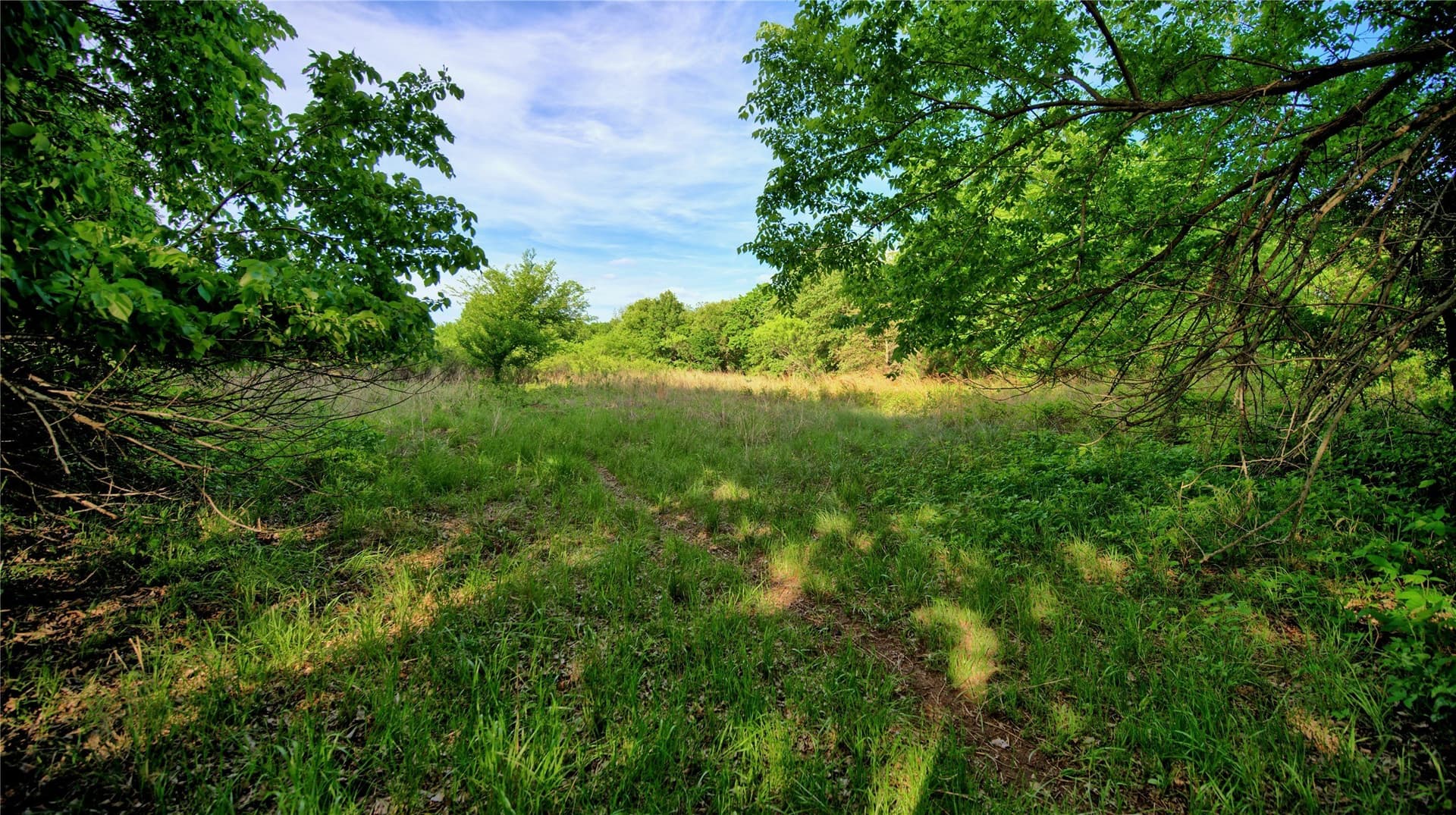 66.6 acres in Montague County - photo 19