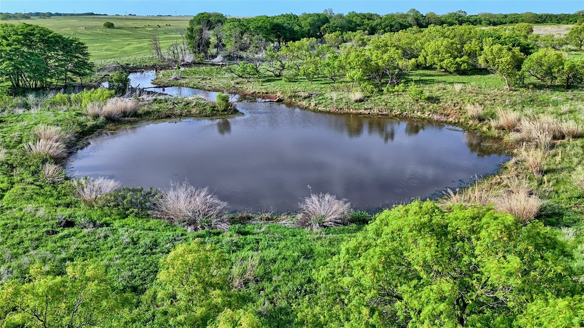 66.6 acres in Montague County - photo 32
