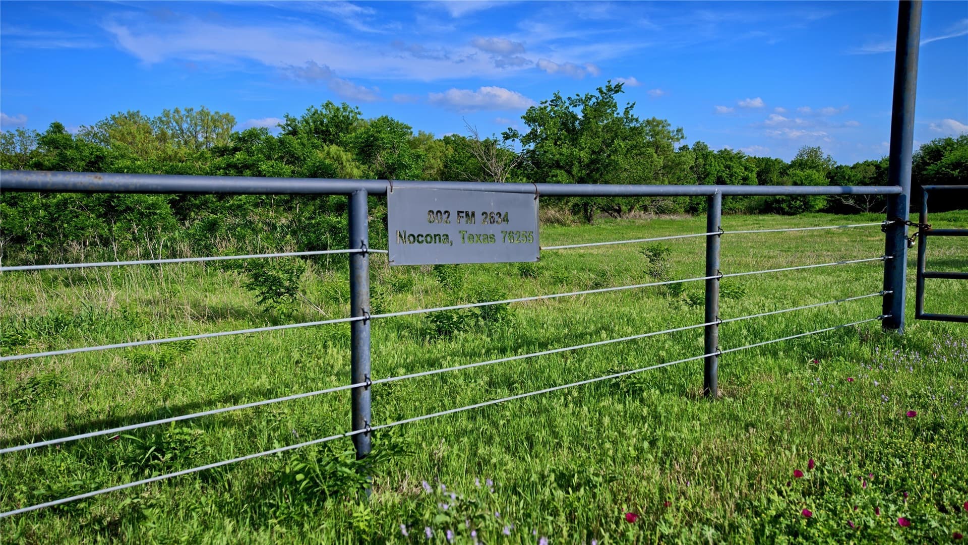 66.6 acres in Montague County - photo 30