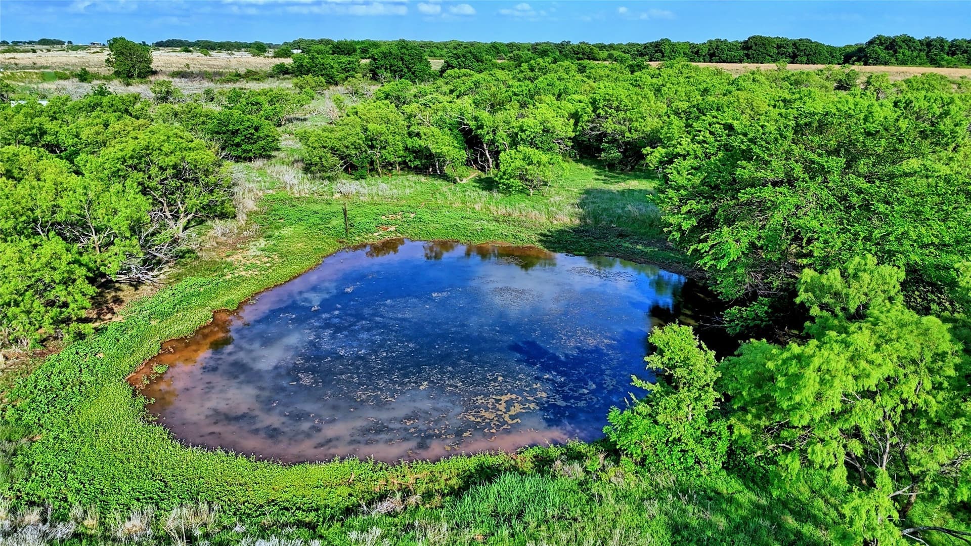66.6 acres in Montague County - photo 23