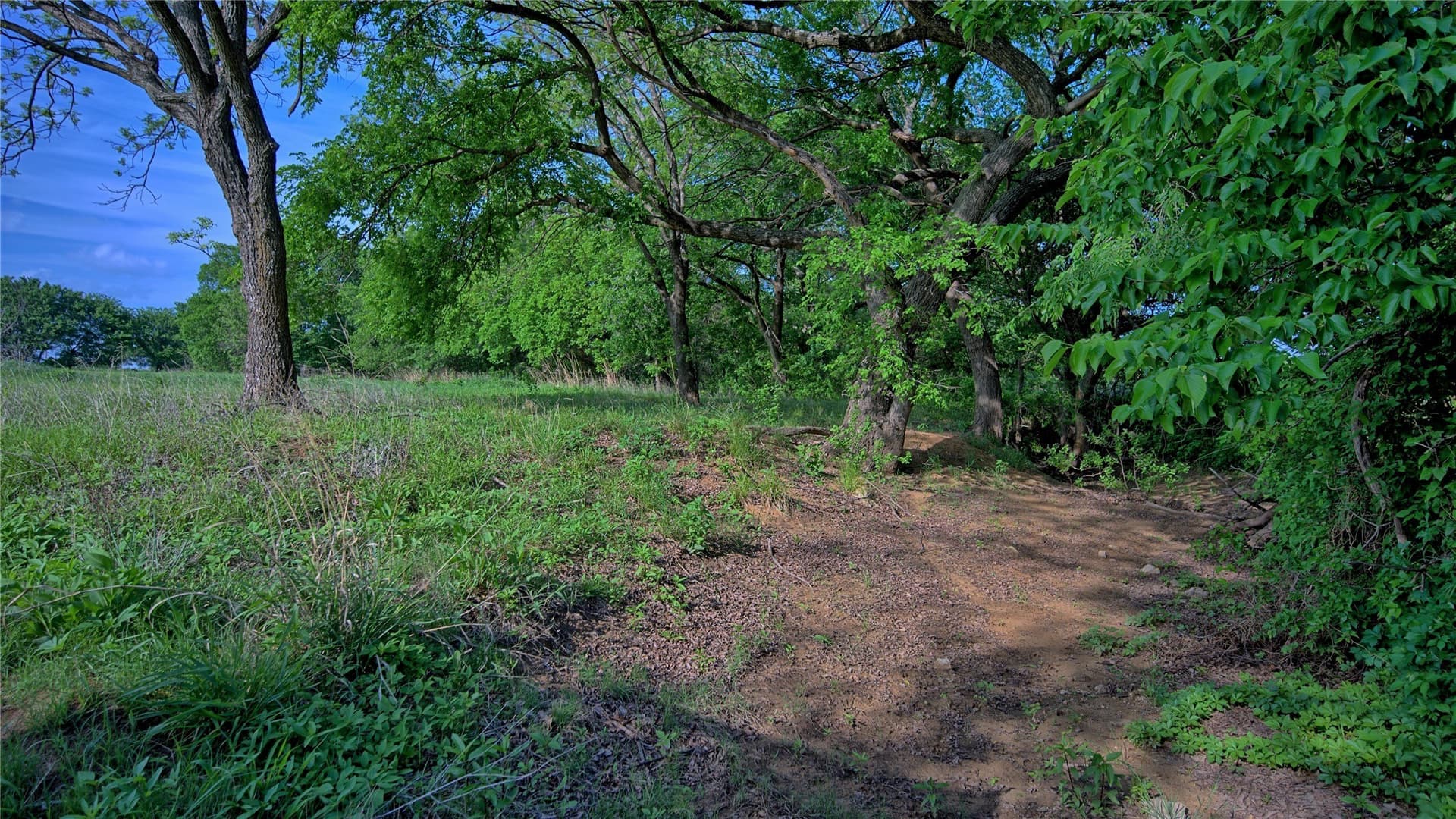 66.6 acres in Montague County - photo 18