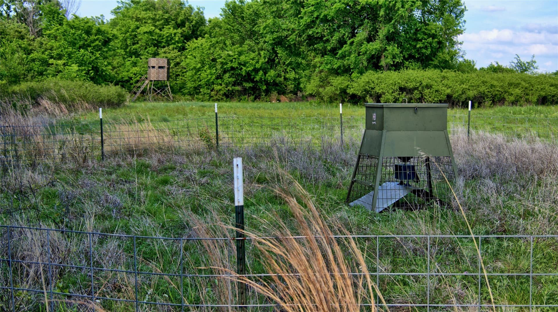 66.6 acres in Montague County - photo 15