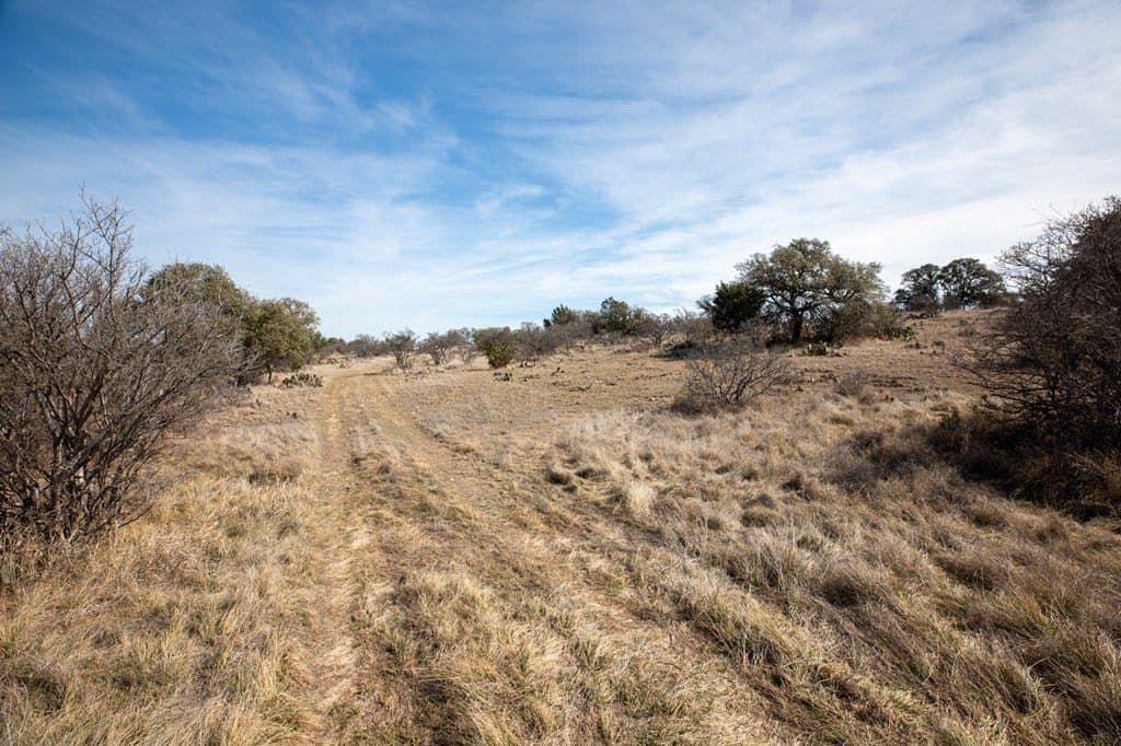 36.9 acres in Mason County - photo 3