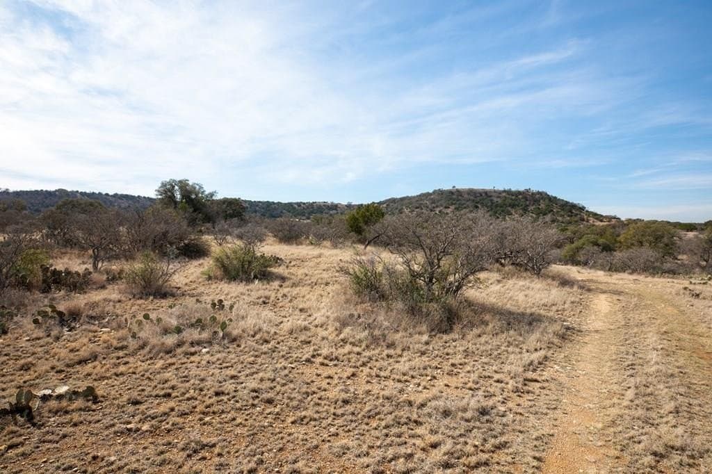 36.9 acres in Mason County