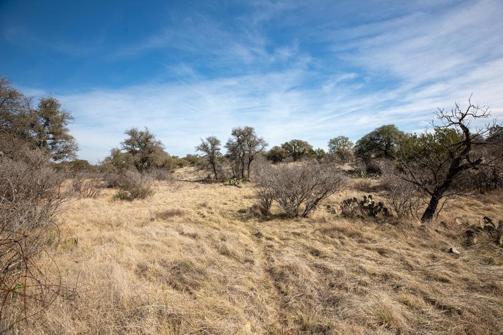 36.9 acres in Mason County - photo 2