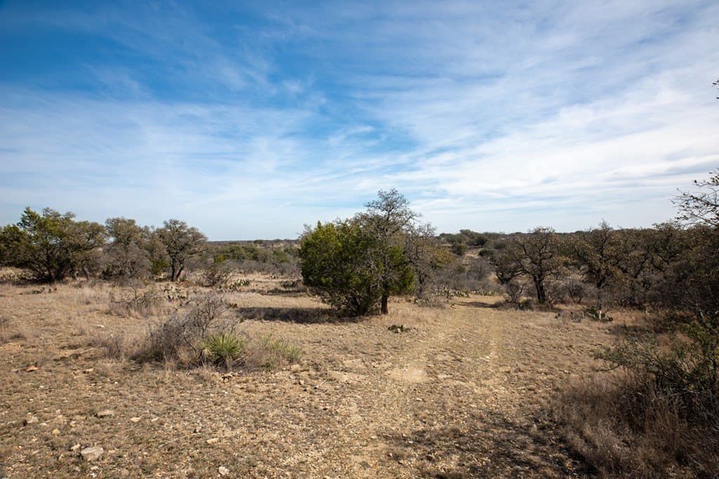 36.9 acres in Mason County - photo 4