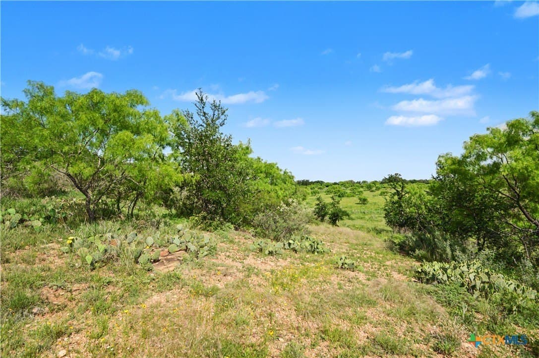 373.4 acres in San Saba County - photo 10