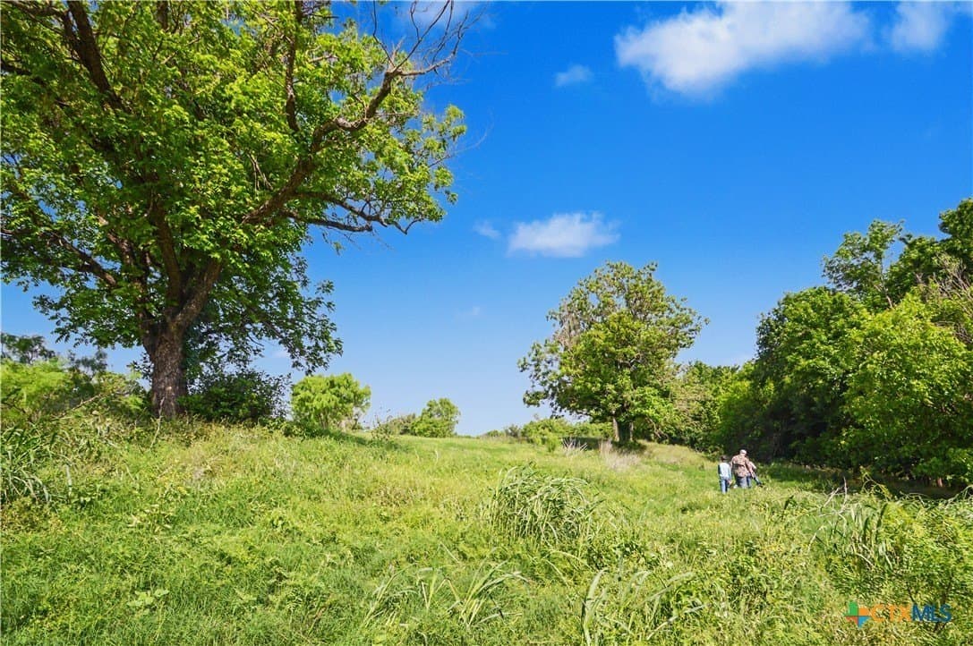 373.4 acres in San Saba County - photo 11