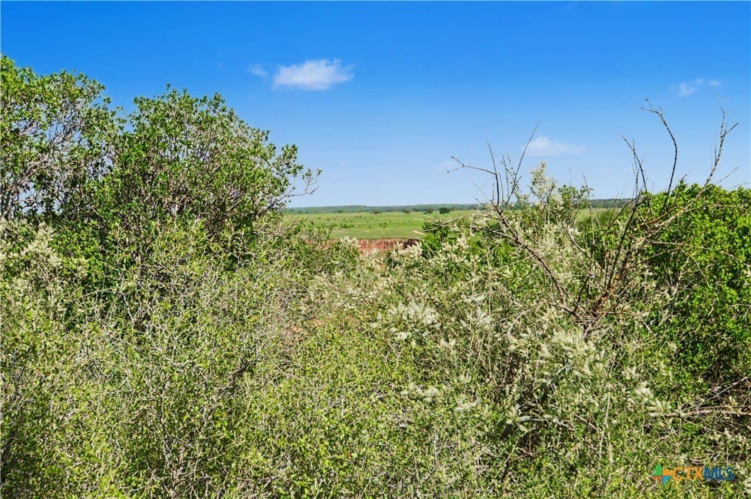 373.4 acres in San Saba County - photo 32